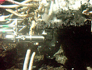 Alvin’s manipulator collects fluids from the hot water trapped under a ledge (or flange). Tubeworms are growing on the top of the sulfide ledge. 