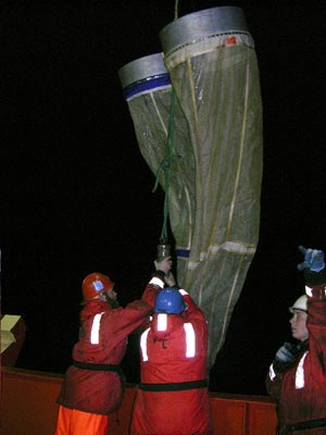 The bongo net has two conical mesh plankton nets with circular openings, fastened together side-by-side and towed on a wire behind the ship, to catch two plankton samples at a time.�At left, Byron Pedler, Erich Horgan, and Jamee Johnson bring in the bongo net.