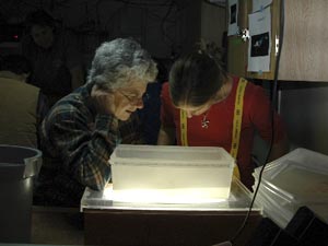 Biologist Isabelle Williams (left) and WHOI graduate student Kelly Rakow search for salps in the plankton sample. (Photo by K. Madin, WHOI) 