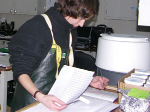 4:00 a.m.: Lena Von Harbou records information during a 24-hour experiment. (Photo by Jun Nishikawa, University of Tokyo)