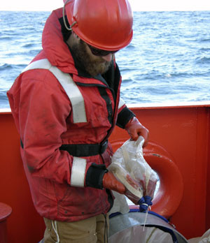 Byron examines the net to see what the catch is. (Photo by Larry Madin, WHOI)