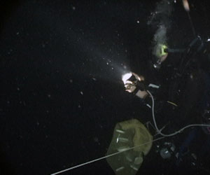 A diver at night, with flashlight and collecting bag, looks for plankton to collect. (Photo by Larry Madin, Woods Hole Oceanographic Institution)