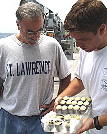 Mike Perfit (left) and Ben Wigham inspect volcanic glass collected using “Mighty Mo”, the rock corer. All the black chips of rock in the pale yellow wax in the front of the plastic tray are pieces of the glassy rinds of pillow lavas. The cutters filled with wax in the back compartments of the plastic tray are ready to be inserted into the nose of “Mighty Mo” for the next rock coring station. 