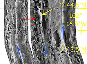 A mosaic of three DSL-120 sonar lines in the area where Dredge 10 was collected. The blue arrows are drawn along the nadir (or track line) of the sonar fish and show the direction that the lines were run. The yellow arrow points to the east side of the young volcanic mound where Dredge 10 collected the young volcanic lavas. You can see that the mound has covered the fissures and cracks of the ridge crest in this area. The red arrow points to the location of hydrothermal activity that we discovered today with Argo II! It is located on the west side of the volcanic mound along a line of fissures on the East Pacific Rise axis. Look at the next two slides for some preliminary photographs of the vent community!