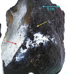 A piece of the pillow lava recovered in Dredge 10 showing the white hydrothermal (possibly bacterial) staining (red arrow) on the glassy surface (yellow arrow). The blue line shows the approximate scale of the sample. Mike Perfit and Erin Todd have been describing and cataloging samples, and taking pieces of the volcanic glass that will be chemically analyzed after the cruise.