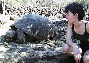 The Darwin Research Station has a large program concerning the ecology and preservation of Galapagos tortoises. They maintain a breeding program to help stabilize endangered populations of tortoises on some of the islands, and promote education and conservation. Here, Maya Tolstoy watches one of the tortoises eat. We were told that these tortoises can go without food or water for up to a year! They are well adapted to the harsh, dry and vegetation-poor environment on young volcanic islands like the Galapagos. 