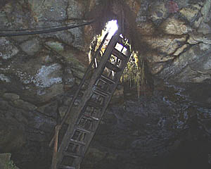 This is the ladder that we climbed to get out of the lava tube. We then had lunch overlooking the slopes of the volcano with the sea in the distance -- a wonderful view! 