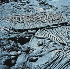A photograph of ropy lava flows on Fernandina Island. The distance across the photograph is about 3 meters. We see many of the same types of surface features on lava flows on the mid-ocean ridge. This is because the chemical composition of lava from both places is quite similar -- they are both a type of lava called basalt. (Photo by Dr. Mark Kurz - WHOI).