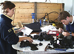 Clare Williams and Ben Wigham sort through the basalt lava samples recovered this morning.