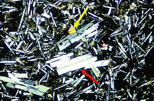 Geologists take very thin slices of rock and look at them under a microscope to see what minerals make up the rock. This is a photograph taken through a microscope of the interior of a seafloor lava. The large white crystals (red arrow) and the tiny white needles are a mineral called plagioclase. The yellow and green crystals are a mineral called olivine (yellow arrow). The highly colored regions between the plagioclase crystals are another mineral called pyroxene. The dark background is glass that has not been fully crystallized.