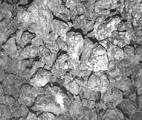 A digital photograph of broken pillow lava pieces at the base of a fault at 3400 meters depth in the Galapagos Rift valley. This material is also called “talus”. The white object in the center is a stalked sponge. The distance across the image is about 2 meters.