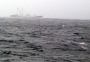 Just before Argo II was hauled on board, a tuna fishing boat appeared out of the fog and rain about 300 meters off the starboard side of R/V Melville.
