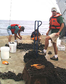 Ron Comer, the Scripps Resident Technician (left), Kate Gans (middle) and Tim Haskell sort through all the rocks after a very successful dredge. Tim has a handcart to carry the largest pillow to the rock preparation area.