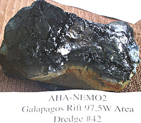 One of the glassy, young pillow basalts recovered from the summit of the western volcano in the Galapagos Rift valley. The rock is about 20 centimeters across.
