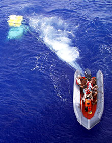 Wrestling six foot seas, crew members in Knorr’s work boat drag the elevator back to the ship. 