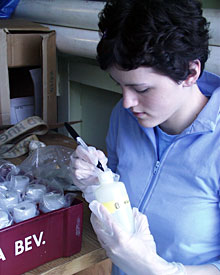 Biology student Jessie Philley labels bottles used to collect water samples from the CTD sensor. She wears gloves to keep even the smallest contaminants out of the samples.  