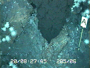 Newly discovered black smoker vent at 3283 meters depth near 23° 52'S on the Central Indian Ridge. White marker A helps us locate the site for sampling.  