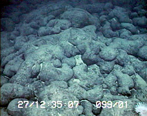 Tube-shaped pillow lavas are found on the summit of Knorr Seamount at a depth of 2280 meters. 