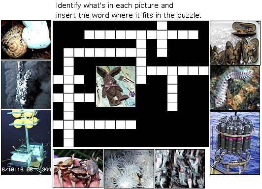 picture crossword