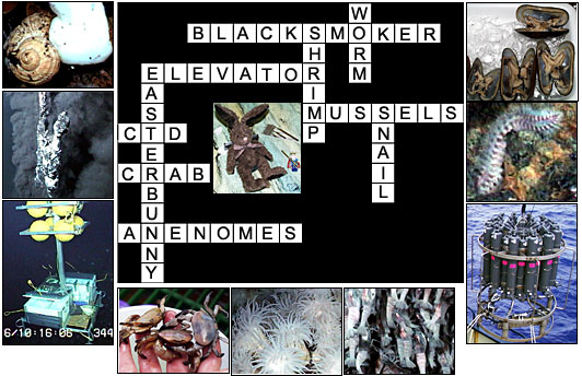 picture word answers