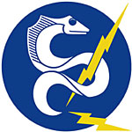 DeepSea Power and Light logo