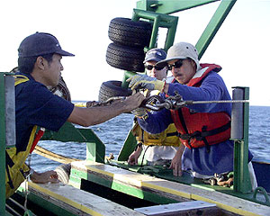 Steve Tottori (left), Paul Johnson and Dan Fornari preparing to haul in the MR1 sonar fish yesterday. 