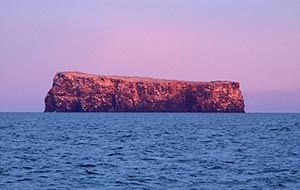 Roca Redonda reflecting the pink light of sunset this evening. This tiny island is the tip of a submarine volcano north of Isabela Island. We have mapped the flanks of this feature and can see that landslides that have cut away at the volcano's sides so that all that remains is a 40 m-high rock above the ocean. The name means round (‘redonda’) rock in Spanish.
