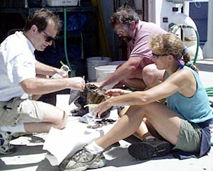  Mark Kurz, Karen Harpp and Alberto Saal (counterclockwise) examine the rock recovered in dredge 36. As rocks are pulled out of the dredge bag they are measured, described, sawn and finally stored in labeled bags.  