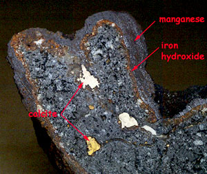 One of the interesting rocks recovered in dredge 66. It has a manganese crust on top of an iron hydroxide layer (which was once the volcanic glass layer that has now weathered). The vesicles inside the rock have been filled in by calcite of various colors (white and yellow). This sample was recovered from the west flank of Floreana Island. It looks much older than many of the other seafloor volcanic rocks we have recovered on this expedition. 