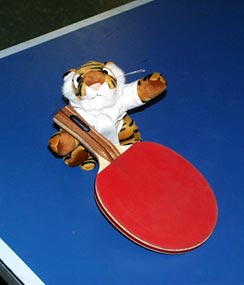  A new contestant in the 2002 Galápagos Rift Invitational table tennis tournament! Tigger is the traveling companion of scientists from TIGR (The Institute for Genomic Research). 