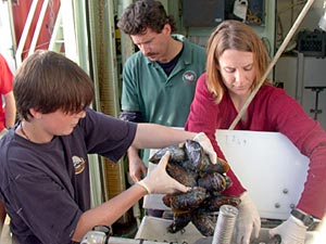  Graduate students Rhian Waller and Lara Kemper pull a clump of large mussels out of Alvin’s basket after Dive 3795 today.