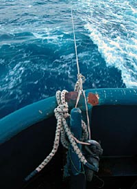 This is the view off the ship’s stern, showing the fishing system set up by Able Seaman Patrick Hennessy. When a fish goes for the trailing lure, the rubber band visible in this photo snaps and shock-loads the bungee cord. At the same time, a steel weight drops to the deck floor, alerting crew members that a fish is on the line. 