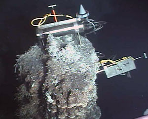 An incubator placed on a black smoker chimney called Roane, in the Mothra hydrothermal, photographed by cameras mounted on Alvin.