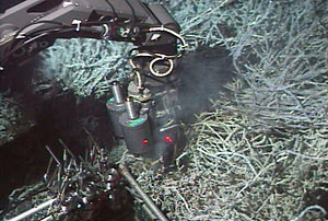 At a hydrothermal structure called Clam Bed, divers in Alvin use the sub’s manipulator arm to capture a fluid sample. 