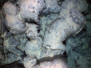 Pillow lava, about one meter (three feet) in diameter, form a jumbled pile on the seafloor. TowCam�s lights reflect off the black, glassy surfaces of the pillows, making them appear white. (Photo by Woods Hole Oceanographic Institution)