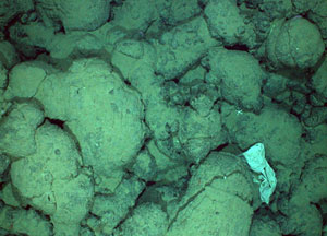 An image from the TowCam system captured this plastic bag resting on lava at Rosebud, more than 200 miles (320 kilometers) from the mainland. �We see some sort of trash literally on every expedition�oil cans, pieces of sheet metal, fishing gear,� said biologist Rhian Waller. (Photo by Woods Hole Oceanographic Institution)