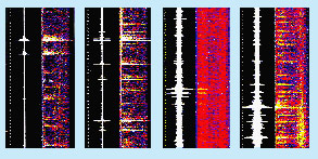 Four spectrograms shows data recorded by “Haru”phones.