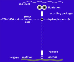 Cartoon of a “Haru”phone deployment and the location of the SOFAR channel in the ocean. 