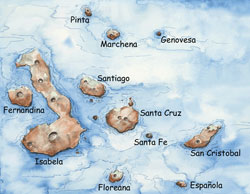 watercolor of the galapagos islands