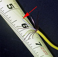 One of the colored wires has been spread out to show the glass fiber. The red arrow points to the junction between the thin glass strand and its outer plastic coating. This protects it from abrasion. The several copper wires surrounding the glass strand are the electrical conductors that carry the 1800 volts used to power ROV Jason.