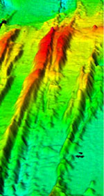 3-d image of vent field