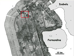 MR1 sonar backscatter map