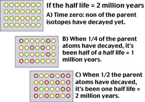 The “half life” of a parent isotope is the time it takes for half of it to decay to its daughter isotopes. 