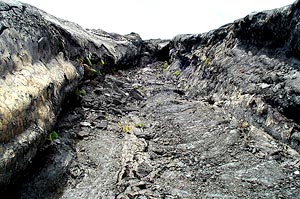  Lava channel on Kilauea volcano Hawaii. Scale across the channel is about 5 meters. Photo by Dan Fornari, WHOI. 