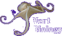 Vent Biology
