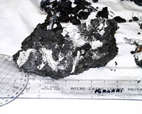 Photograph of one of the samples of “Dave” Vent that will be used for the microbe experiment.