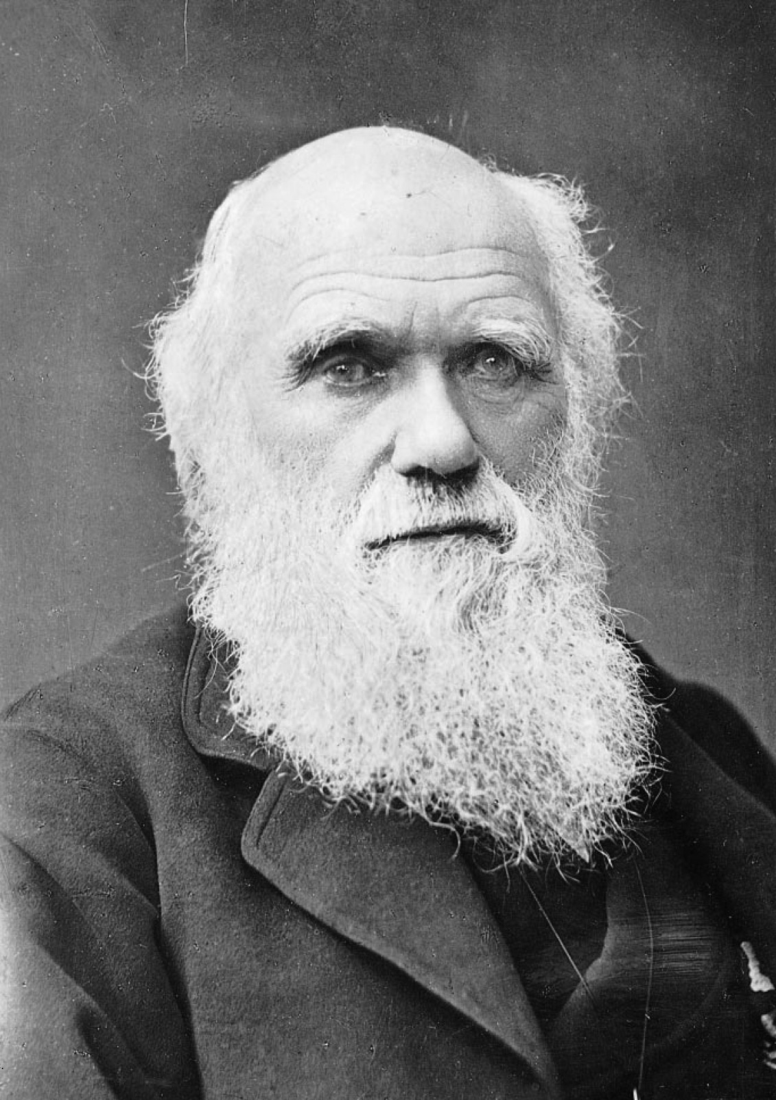 Charles Darwin photograph by Herbert Rose Barraud, 1881.