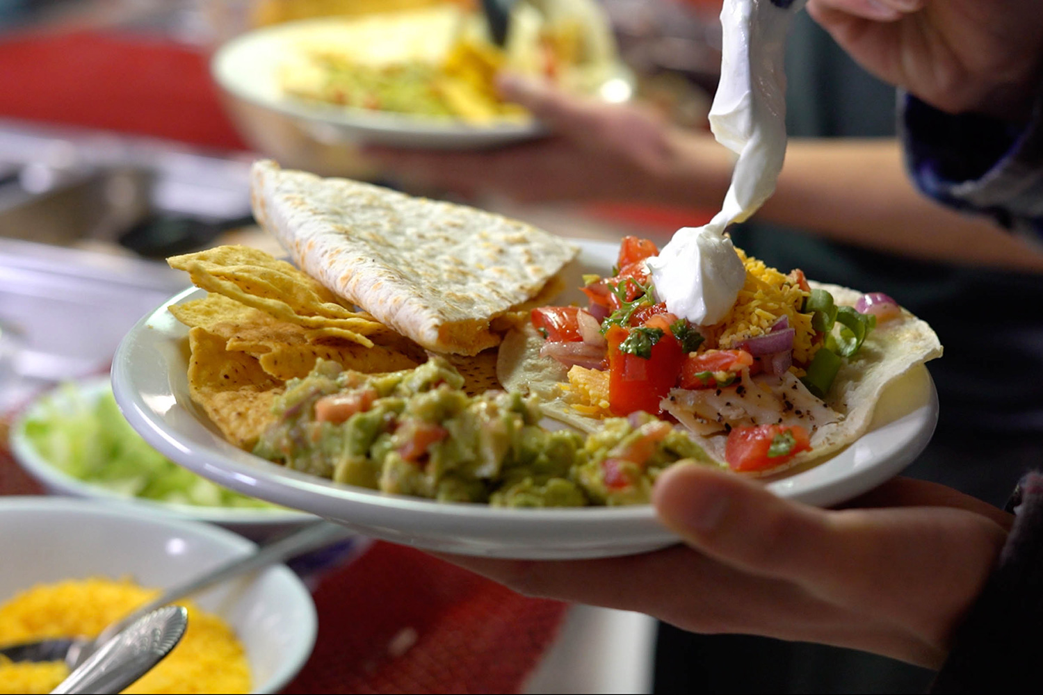 A recent lunchtime offering of quesadillas.