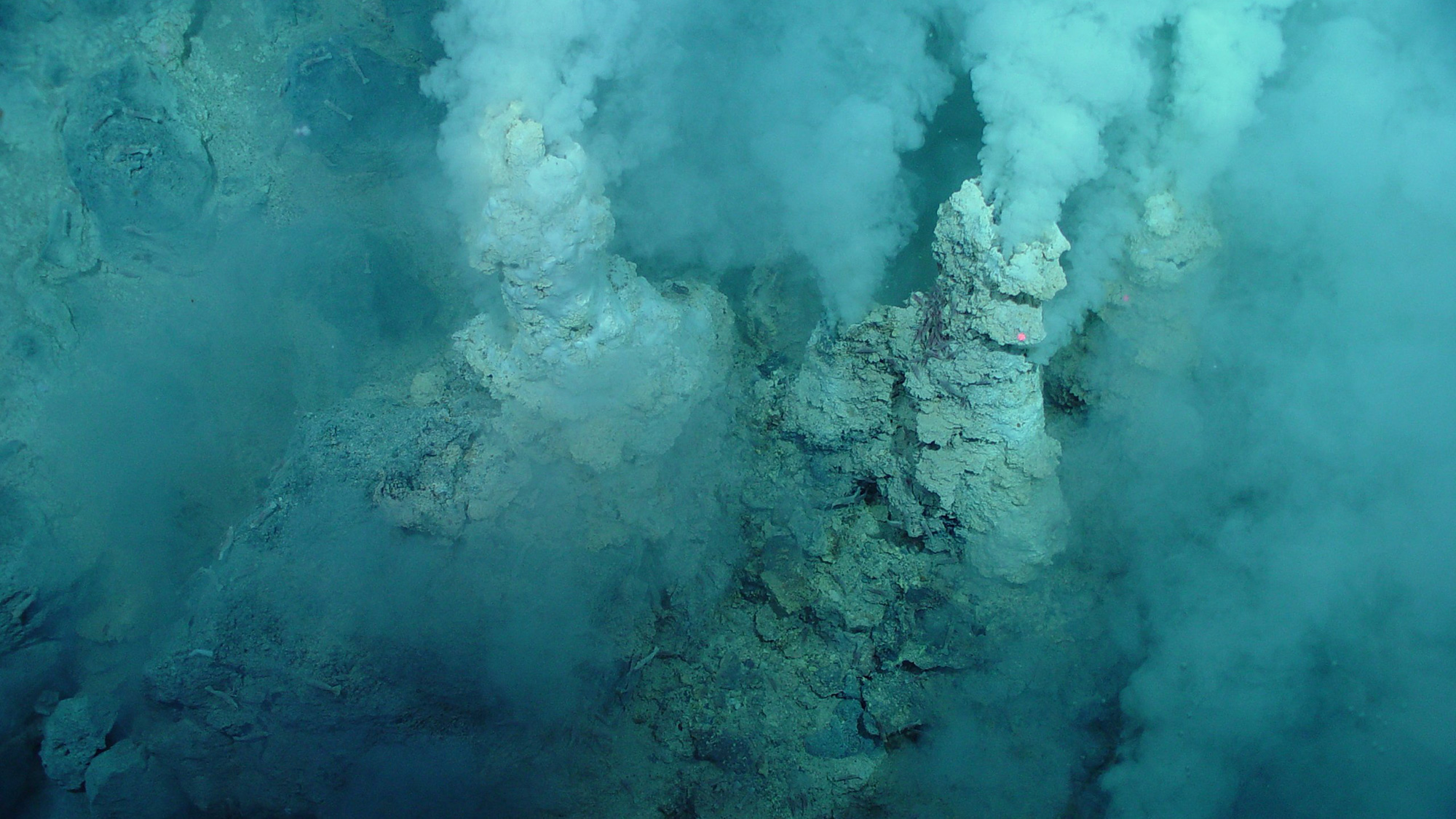 Godzilla hydrothermal vent