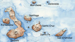 galapagos islands